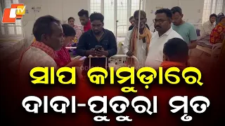 Uncle and Nephew Die of Suspected Snakebite in Nuapada