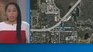 Pedestrian died in hit-and-run crash; Hillsborough County deputies look for driver