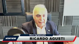 08/13 Ricardo Cuffia micro