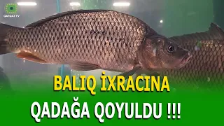 RUSİYA BAZARI ERMƏNİSTANIN ÜZÜNƏ BAĞLANDI