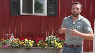 Alliant Energy solar project draws farmer concerns in Winnebago County