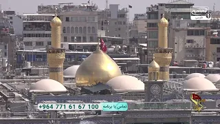 زیارت حرم امام حسین علیه السلام در روز 9 ربیع الاول | اگر دلتنگ کربلا هستید ببینید