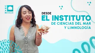 Institute of Marine Sciences and Limnology | UNAMirada