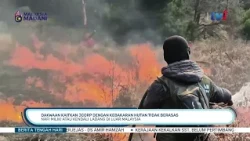 30 OKT 2026 - BTH - DAKWAAN KAITKAN JCORP DENGAN KEBAKARAN HUTAN TIDAK BERASAS