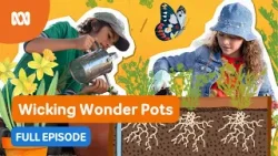 Wicking Wonder Pots ?✨ FULL EPISODE | Gardening Australia Junior | ABC Kids