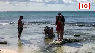 Playa del Carmen ratificará ocho distintivos Blue Flag