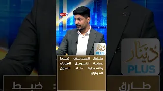 Tariq Al-Hamdani: Regulating Financial Transfers and Controlling the Parallel Market Depends on B...