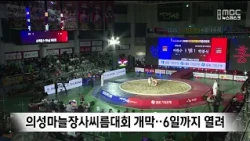 Uiseong Garlic Ssireum Championship Held for One Week