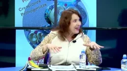 Creaciones Primogénitas 47