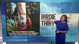 BIRDIE THIRTY: "Red tube feeder features wide perches" - EWN at 7:30am on 6-28-2026