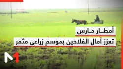 أمطار مارس تعزز آمال الفلاحين بموسم زراعي مثمر