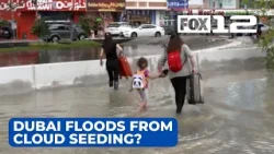 Katie Zuniga talks Dubai flooding, cloud seeding