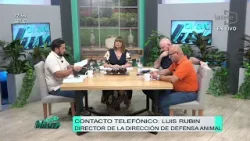 Armaron fiesta y maltrataron gallinas por diversión. Contacto Luis Rubín, director de Defensa Animal