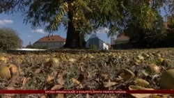 Nastavlja se ugodna jesen bez obilnije jesenske kiše