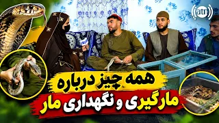 Interesting Facts About Snake Catching / معلومات جالب درباره مارگیری
