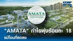 "AMATA" กำไรพุ่งร้อยละ 18 แม้โอนที่ลดลง | TNN ชั่วโมงทำเงิน | 04-03-69