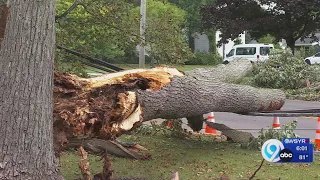 Seneca Falls storm clean up