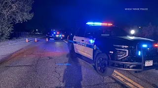 Pickup driver killed in crash with semi-truck