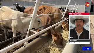 New support benefits Ahome cattle ranchers