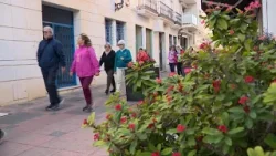 Informativo Fuengirola Televisión 06-02-2026