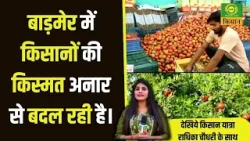Kisan Yatra | बाड़मेर में किसानों की किस्मत अनार से बदल रही है | Farmer News |Kisan News| DD Kisan |