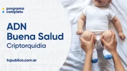 What is Cryptorchidism? - ADN Buena Salud