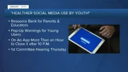 2 bills establishing social media protections for children in state legislature