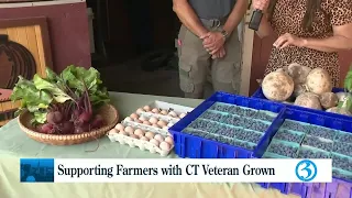 Supporting farmers with CT Veteran Grown