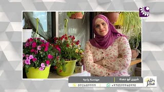 أيلول الزراعي.. ماذا نزرع؟ وكيف نجهّز أرضنا للموسم الجديد؟