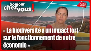 Christine Lavarde: "Biodiversity has a major impact on how our economy functions"