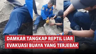 SUMSEL SEPEKAN | ANTV SUMSEL | Edisi 8 Mei 2026