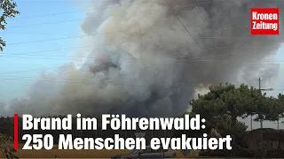 Forest fire in Föhrenwald: 250 people evacuated | krone.tv NEWS