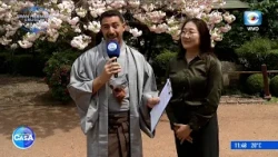 Festival de Japón en el Museo Blanes