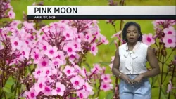 Прогноз погоды на вторник, 31 марта 2026 года.