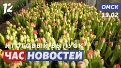 Цветочная лихорадка / Защита младенцев в машине / Разбой за куст конопли. Новости Омска