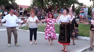 Neta Soare ❌ Colaj Ascultare ❌ Vlaska ❌ Hore ❌ Sarbe ❌ Spectacol Ostroveni ❌ Colaj de petrecere 2026