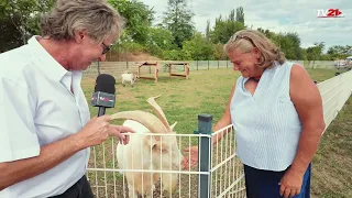 Summer Festival & Charity Concert at Gut Riedenhof – An Afternoon for the Animals