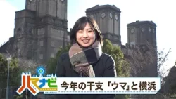 ハマナビ　2026年1月17日放送　今年の干支 「ウマ」と横浜