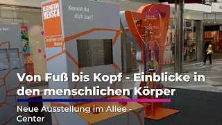 From Head to Toe - Insights into the Human Body | Sachsen Fernsehen