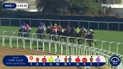 Past The post | Ep 2422026 Past The post | Ep 2422026