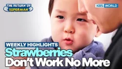[Weekly Highlights] Best Son & Brother Award? [The Return of Superman] | KBS WORLD TV 240218