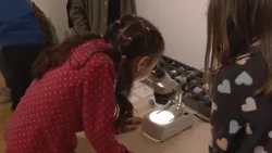 Jarná hravá príroda v Múzeu