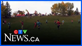 The Grey Cup legacy project