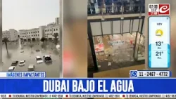 Insólito: intensas lluvias inundaron las calles de Dubái