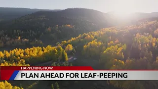 Leaf peeping traffic expected this weekend in high country