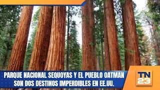 Sequoia National Park and the town of Oatman are two must-see destinations in the U.S.