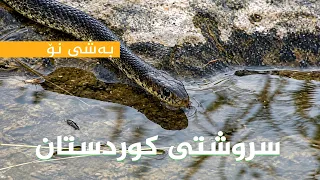 سروشتی کوردستان - بەشی (9)
