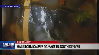 Tree crashes into Centennial home during storm: Caught on camera