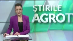 Retrospectiva Saptamanii 25 01 2026 P2