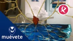 Cris Mareza explora la vida y la identidad en ‘Metamorphoesis’ | Muévete